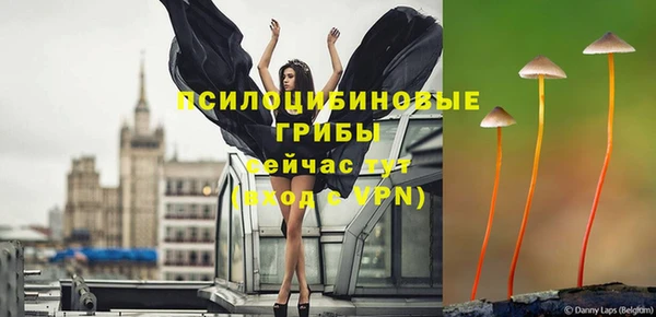 mix Мегион