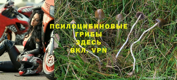 бутират Медвежьегорск