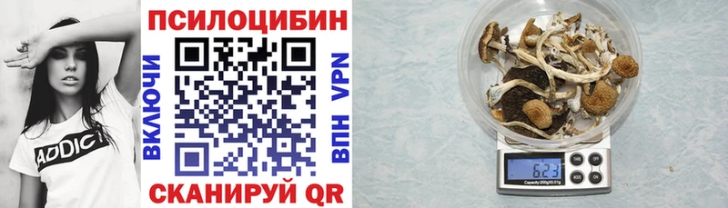 Купить  Сланцы  Псилоцибиновые грибы ЛСД 
